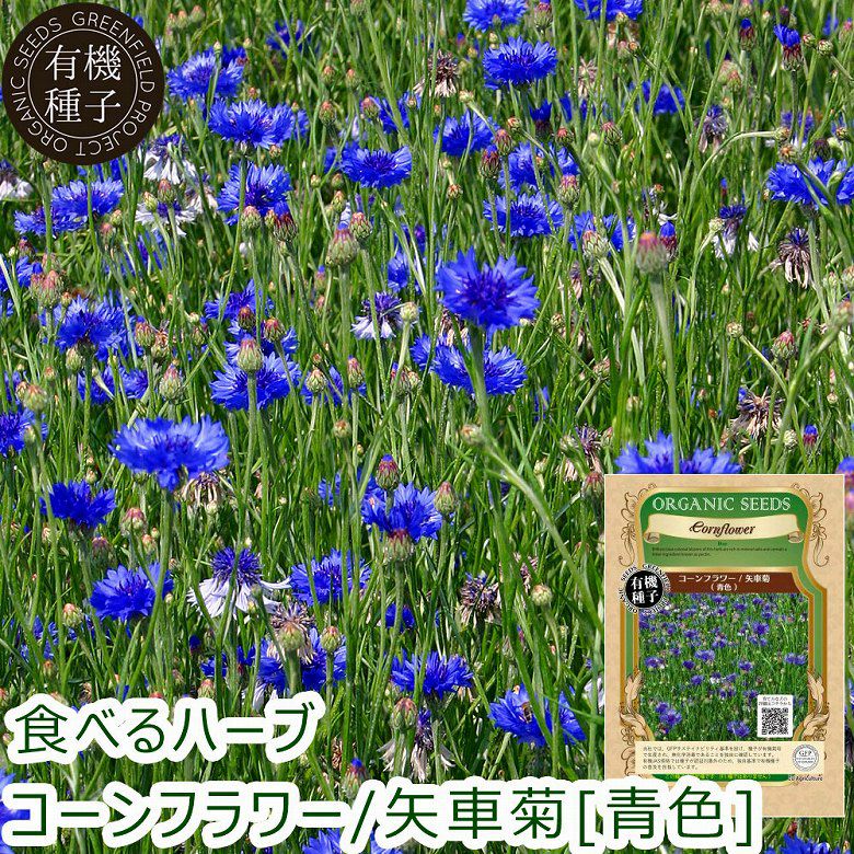 000000002220-01.jpg?size=l&w=