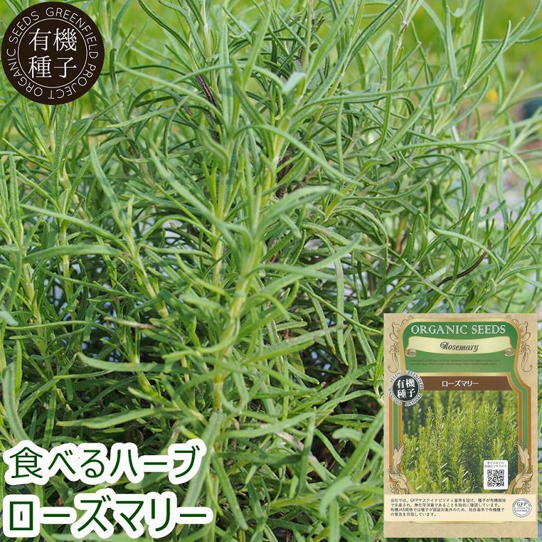 天然ローズマリー強化種、大量１００粒＋プティ粗品＋匿名送料無料、同梱可能です☘ 公式】プレーリードッグファーム| ローズマリー の種 オーガニック