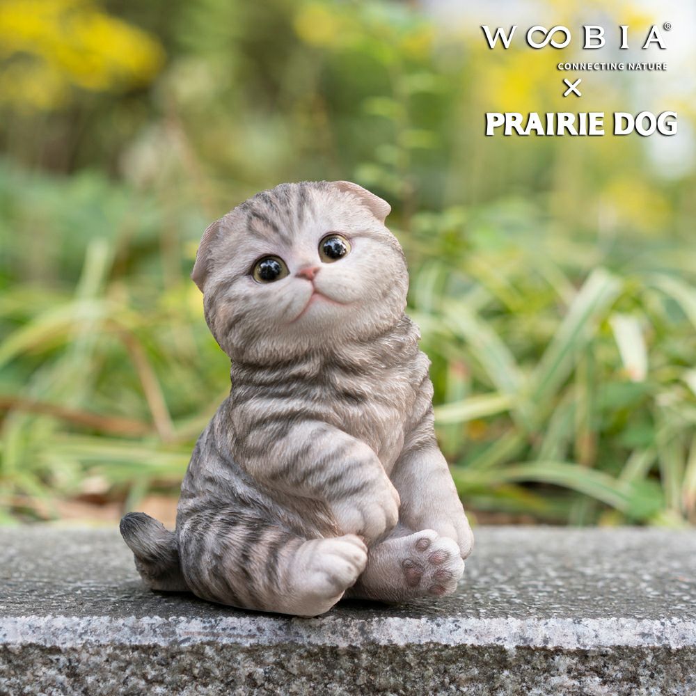 公式】プレーリードッグ | WooBia スコ座りスコティッシュフォールド