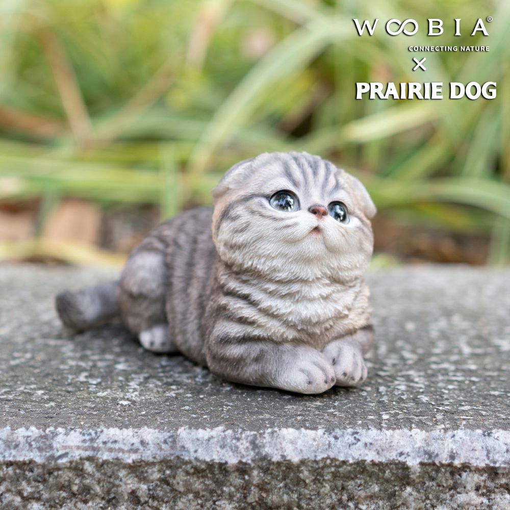 公式】プレーリードッグ | WooBia しゃがむスコティッシュフォールド