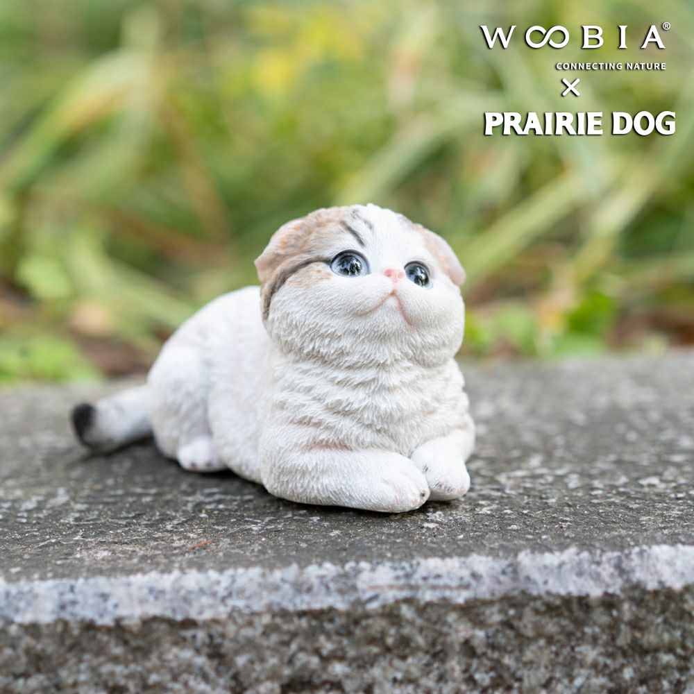公式】プレーリードッグ | WooBia しゃがむスコティッシュフォールド