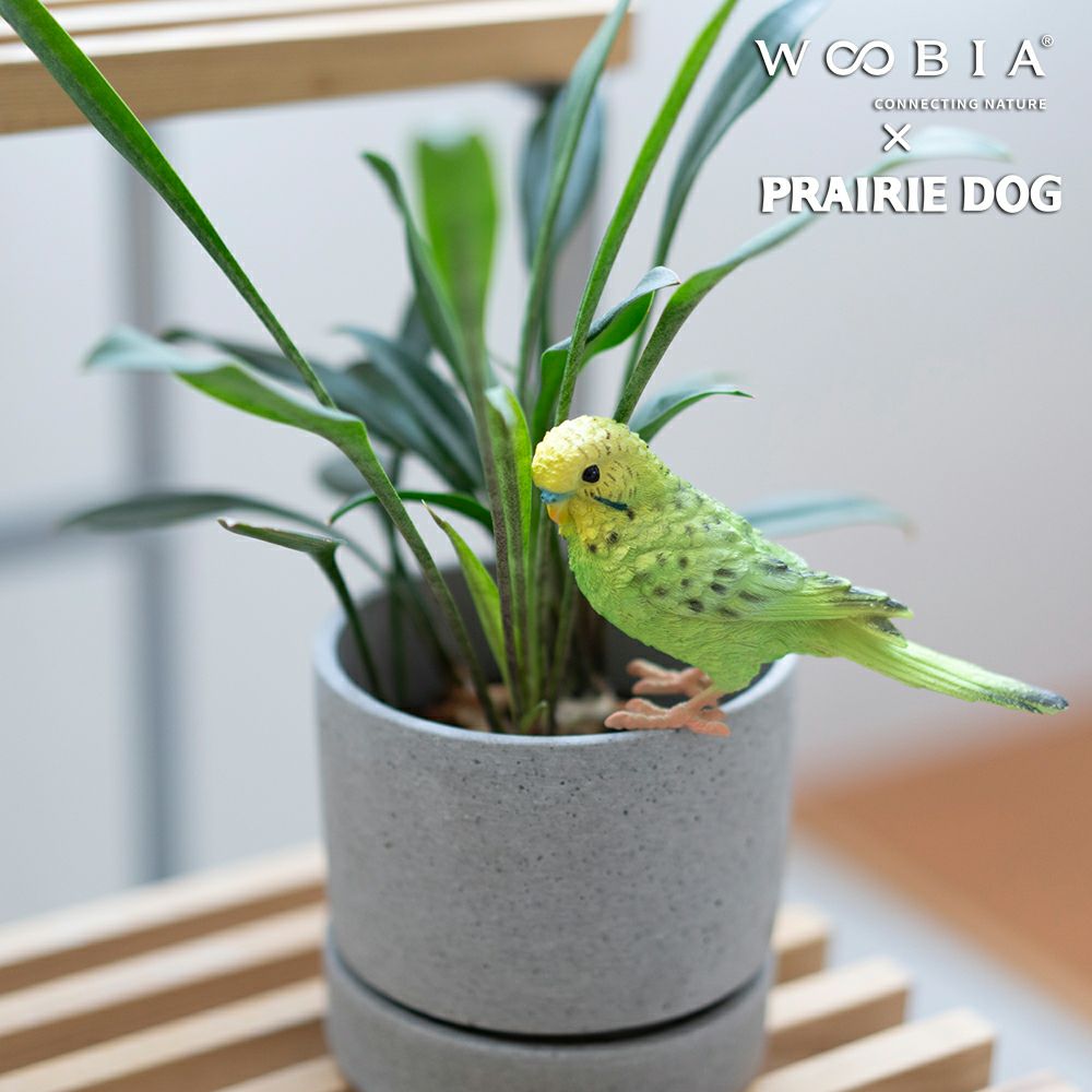 公式】プレーリードッグ | WooBia 緑セキセイインコ 12×3.5×7.8