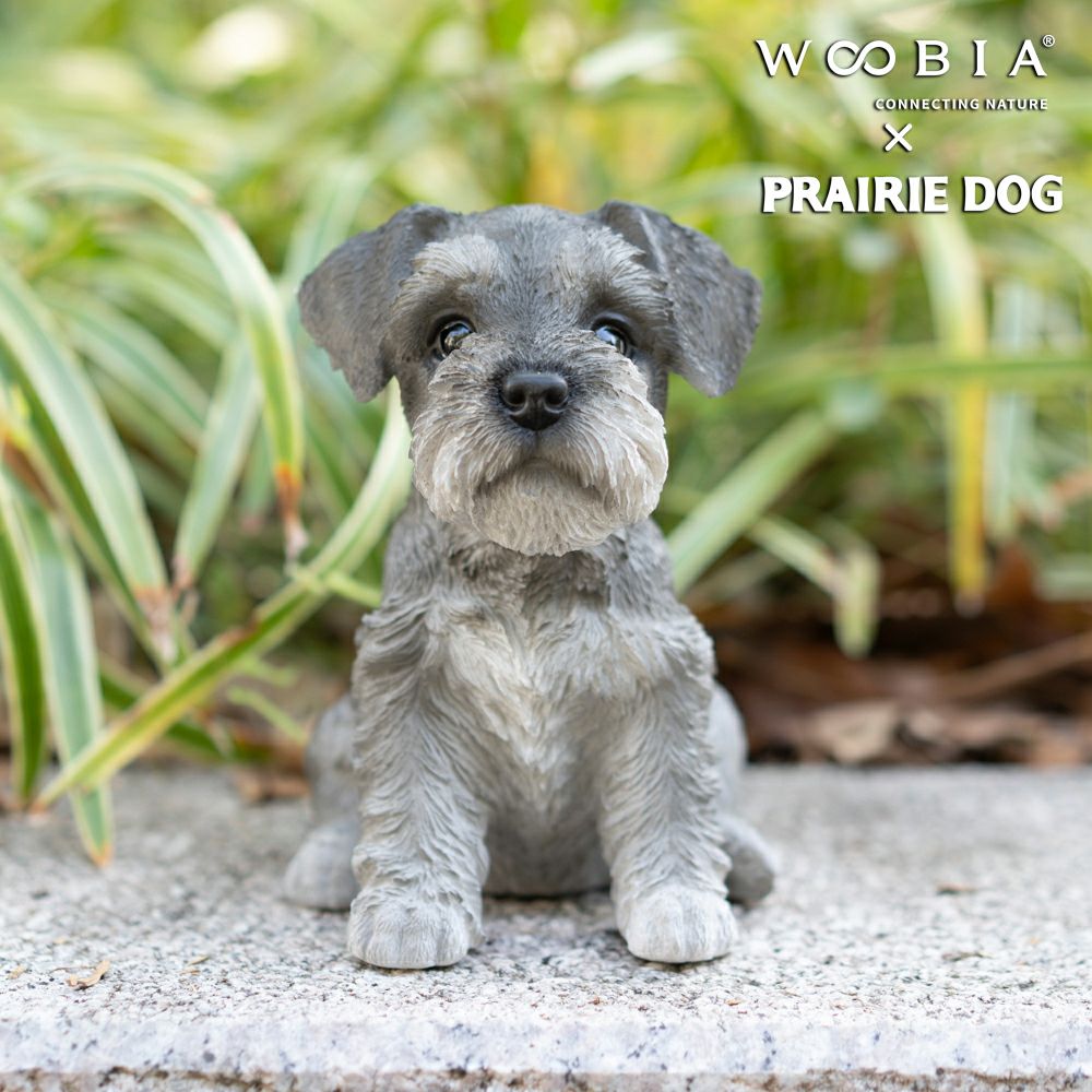 公式】プレーリードッグ | WooBia お座りシュナウザー(大) 17×12.5×17.5