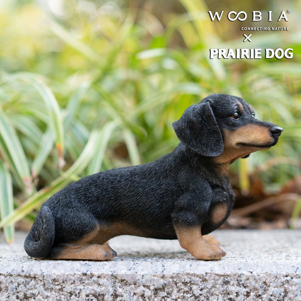公式】プレーリードッグ | WooBia お座りダックスフンド 22.5×9×14