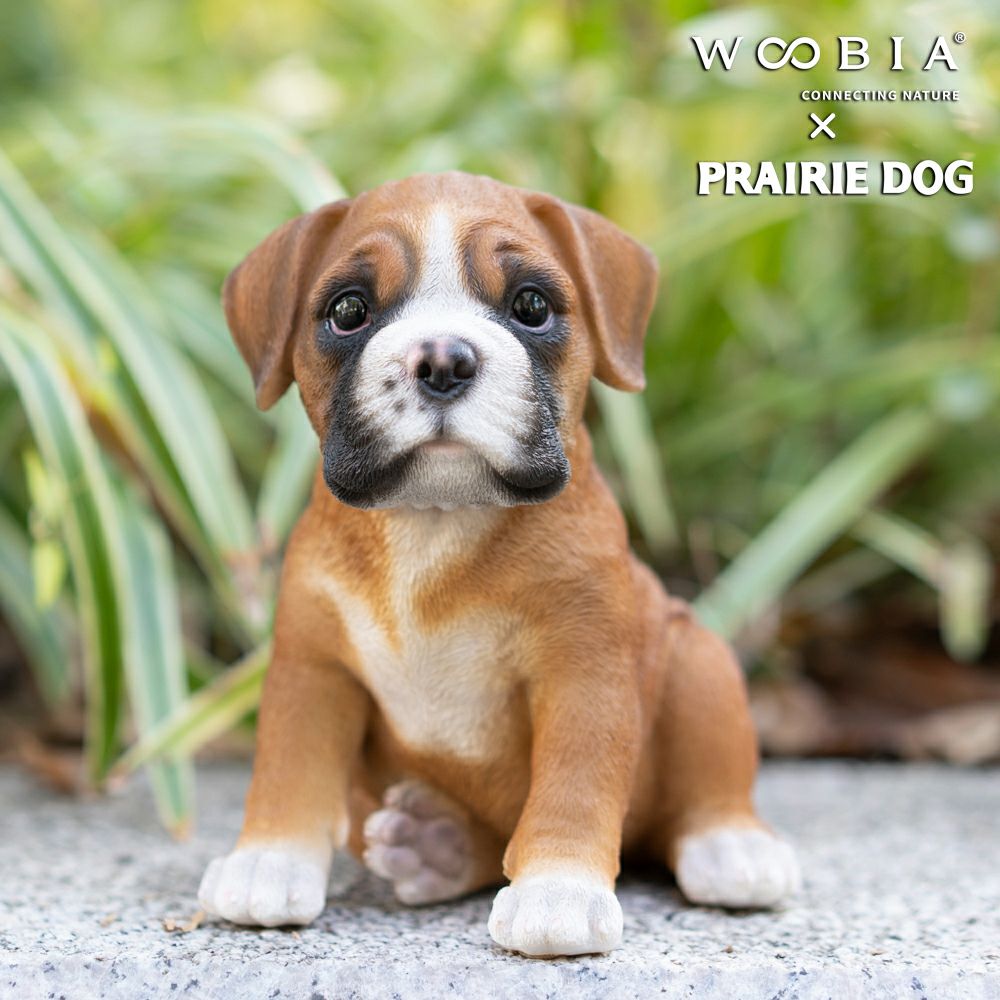 公式】プレーリードッグ | WooBia お座りボクサー犬 15.6×11.5×15.9